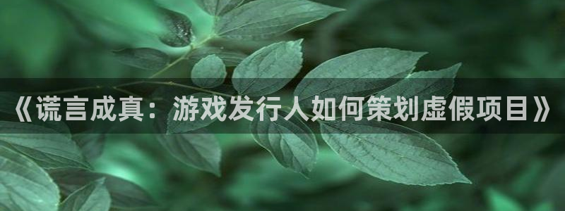 im电竞子公司怎么样：《谎言成真：游戏发行人如何策划虚假项目》