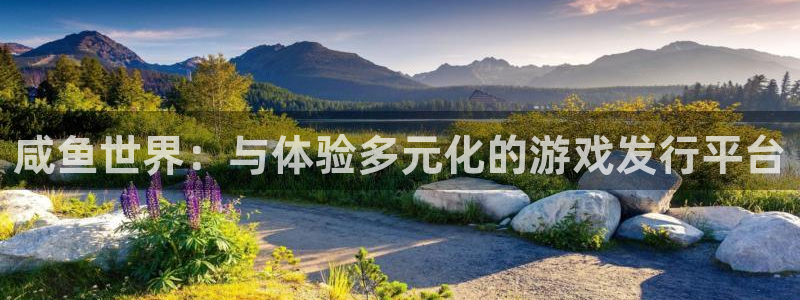 im电竞官网注册登录不了：咸鱼世界：与体验多元化的游戏发行平台