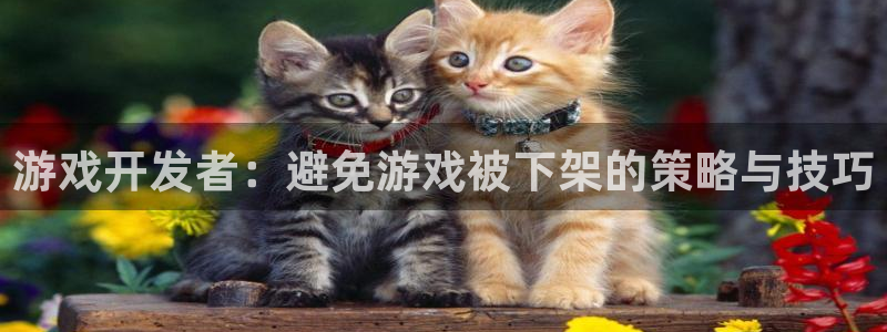 im电竞官网代理注册地址：游戏开发者：避免游戏被下架的策略与技巧