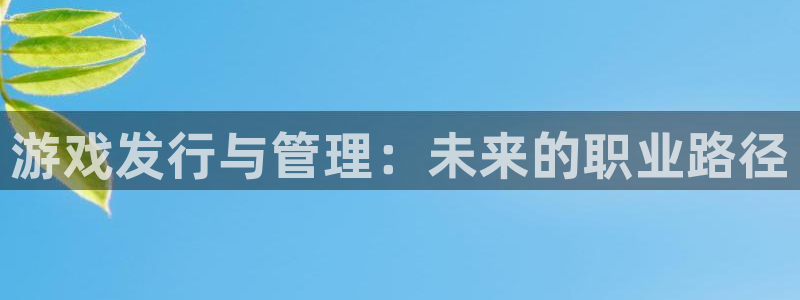 im电竞集团公司怎么样：游戏发行与管理：未来的职业路径