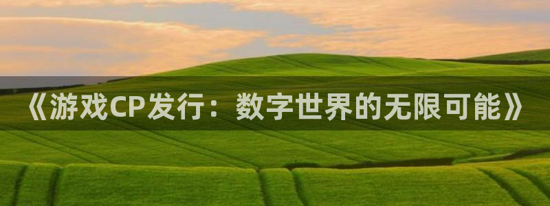 im电竞子出版社董事长：《游戏CP发行：数字世界的无限可能》
