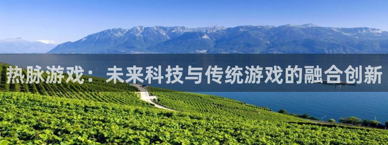 im电竞官网平台代理开号怎么开：热脉游戏：未来科技与传统游戏的融合创新