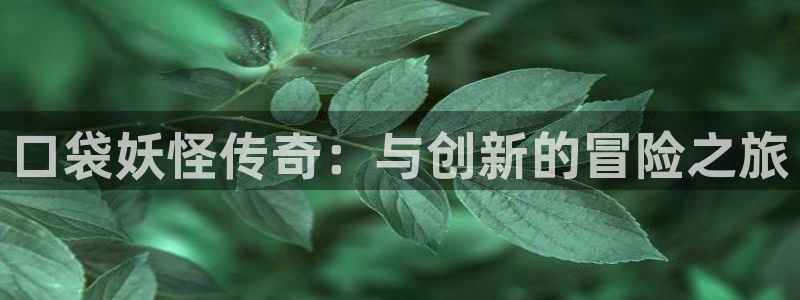 im电竞工坊：口袋妖怪传奇：与创新的冒险之旅