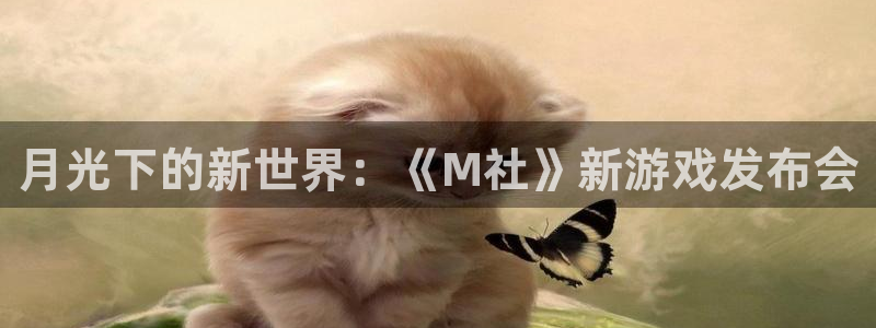 im电竞官网解绑银行卡怎么操作：月光下的新世界：《M社》新游戏发布会