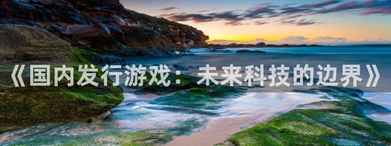 im电竞官网注册方法是什么意思：《国内发行游戏：未来科技的边界》