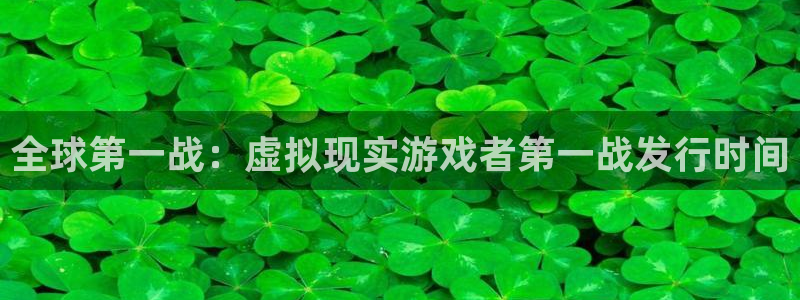 im电竞官网主管他494o3 主管：全球第一战：虚拟现实游戏者第一战发行时间