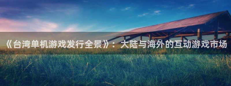 im电竞官网注册地址在哪里查：《台湾单机游戏发行全景》：大陆与海外的互动游戏市场