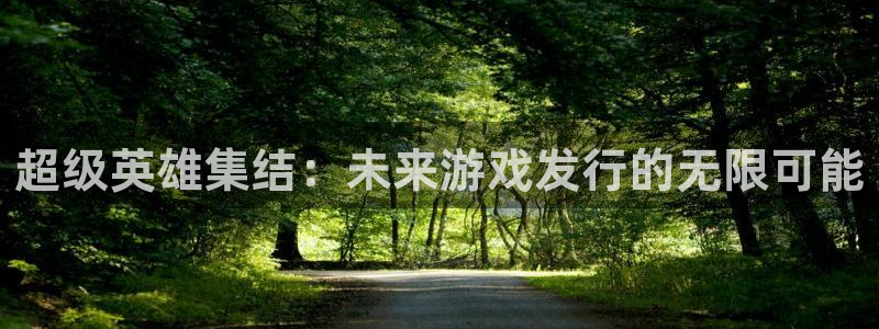 im电竞官网注册平台怎么样啊：超级英雄集结：未来游戏发行的无限可能