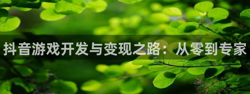 im电竞官网注册地址在哪里查：抖音游戏开发与变现之路：从零到专家