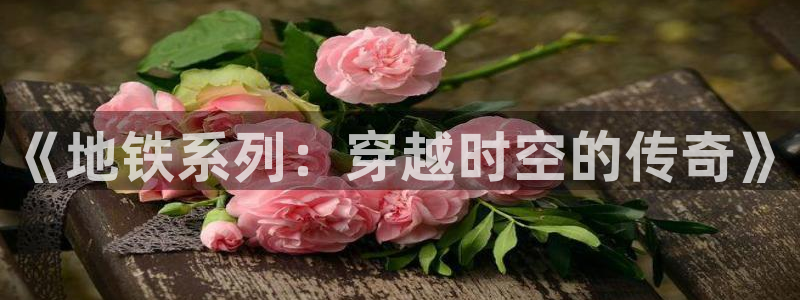 长沙im电竞子电子商务有限公司