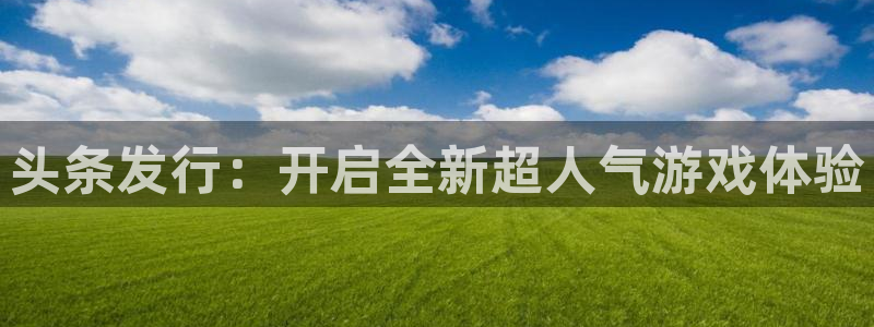 im电竞官网挂机项目怎么样