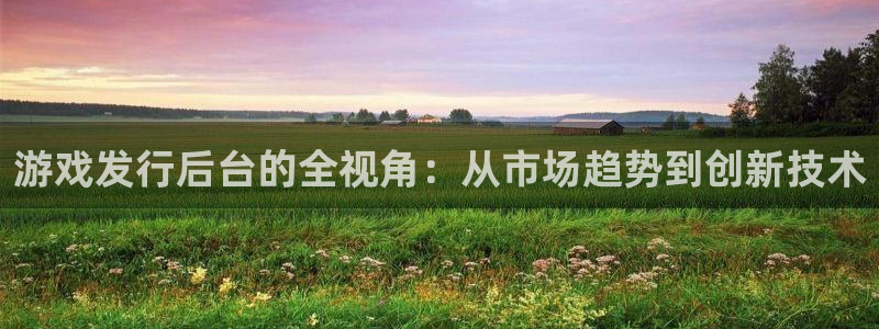 im电竞电子科技股票：游戏发行后台的全视角：从市场趋势到创新技术