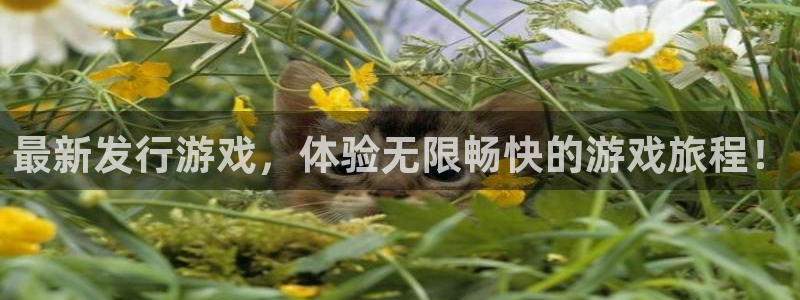 陕西im电竞子文化创意是干什么的