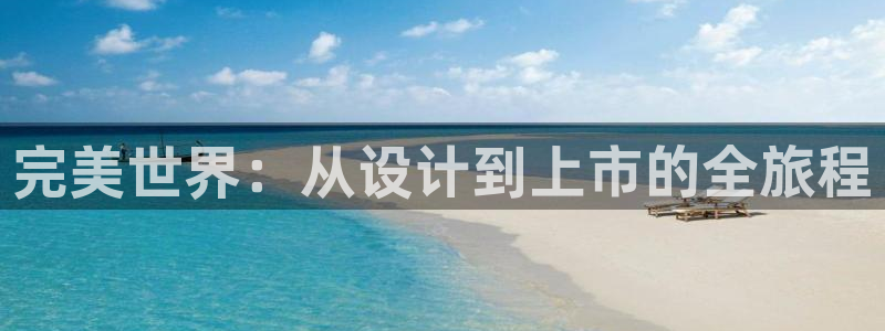 im电竞科技有限公司：完美世界：从设计到上市的全旅程