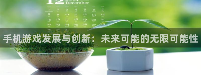 im电竞品牌顾问有限公司