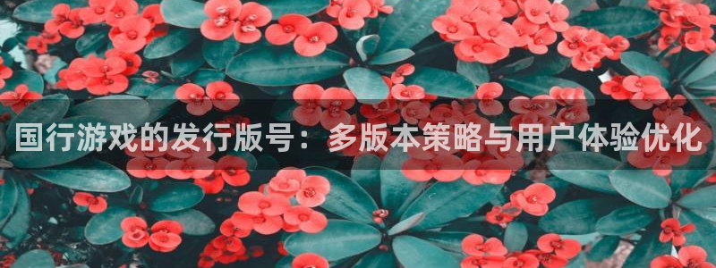 im电竞仓储中心