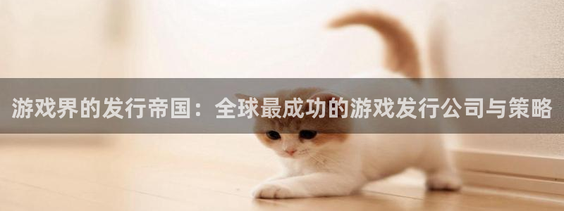 im电竞仓储中心：游戏界的发行帝国：全球最成功的游戏发行公司与策略