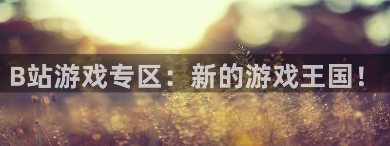 im电竞官网客服怎么样：B站游戏专区：新的游戏王国！
