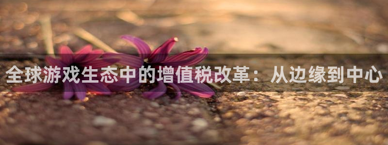 im电竞电子科技股票