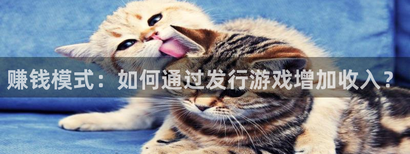 im电竞子代表什么意思