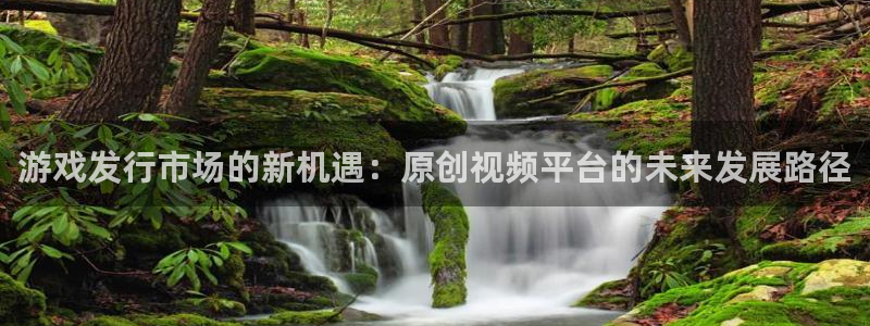 im电竞官网注册地址在哪里啊