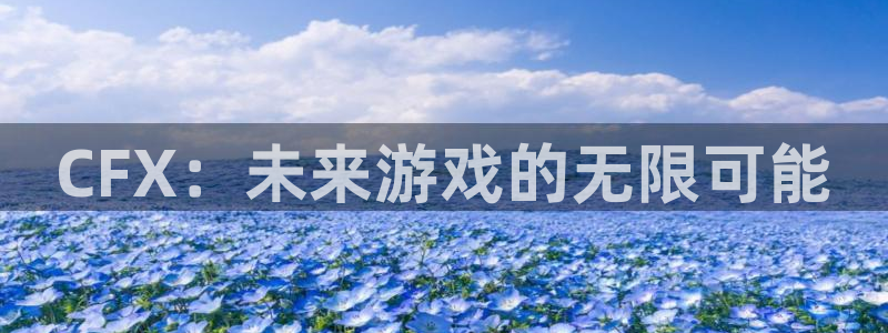 广州im电竞投资管理顾问有限公司