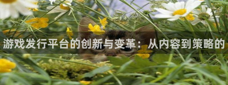 im电竞官网登录注册账号失败