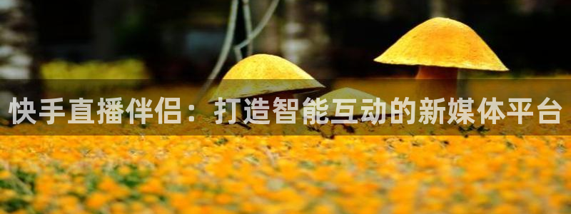 乐球直播免费体育直播：快手直播伴侣：打造智能互动的新媒体平台