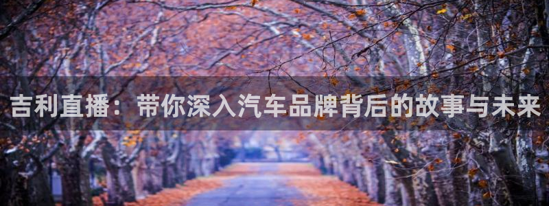 nba在线直播免费观看直播乐球：吉利直播：带你深入汽车品牌背后的故事与未来