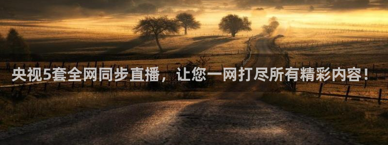 乐球直播免费版观看：央视5套全网同步直播，让您一网打尽所有精彩内容！