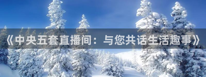 乐球app官方下载：《中央五套直播间：与您共话生活趣事》