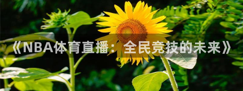 jrs直播nba乐球吧：《NBA体育直播：全民竞技的未来》