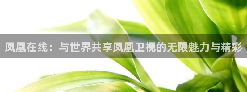 乐球吧免费nba直播：凤凰在线：与世界共享凤凰卫视的无限魅力与精彩